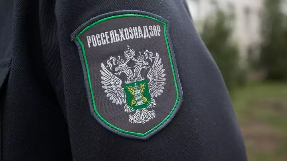 В Каменском районе Свердловской области нашли незаконную свалку на землях сельхозназначения