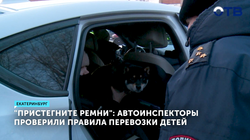 Автоинспекторы в Екатеринбурге оштрафовали 82 водителя за перевозку детей без кресел