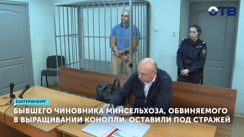 Экс-чиновник Минсельхоза останется в СИЗО за выращивание конопли