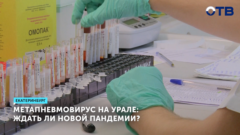Эксперт оценил риск пандемии метапневмовируса в России