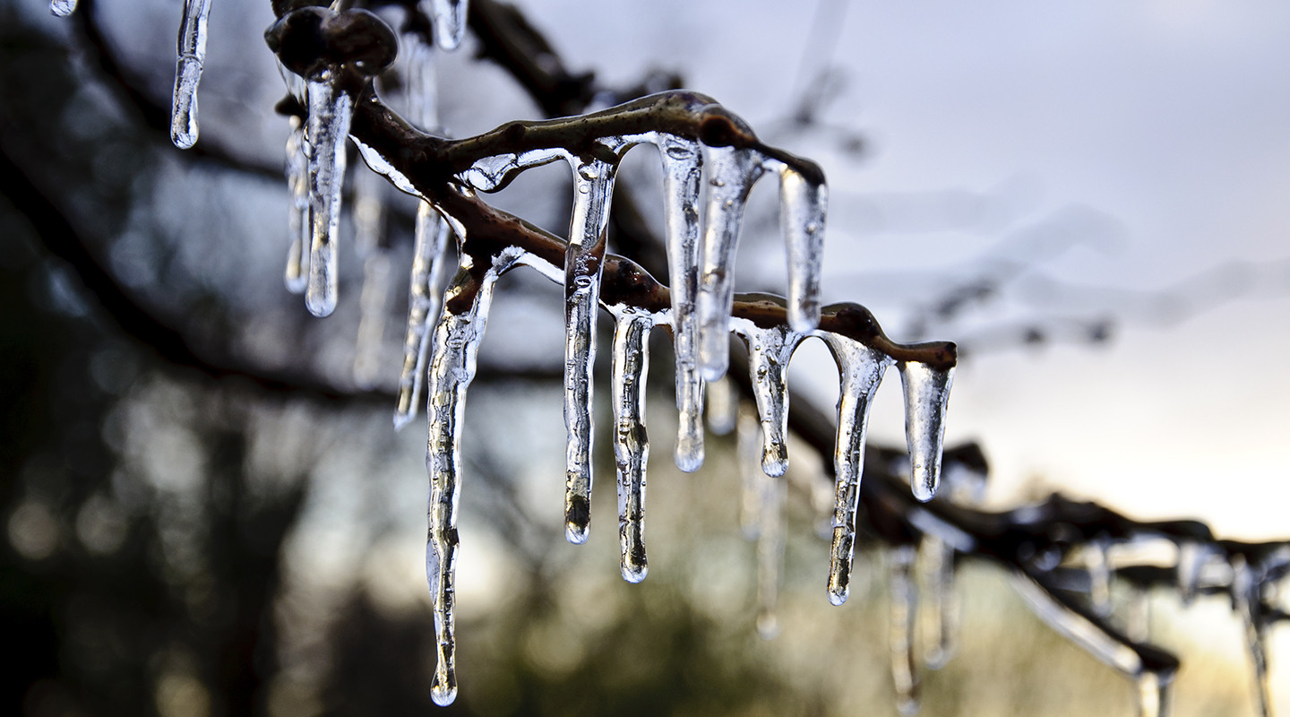 Свердловская область встречает оттепель