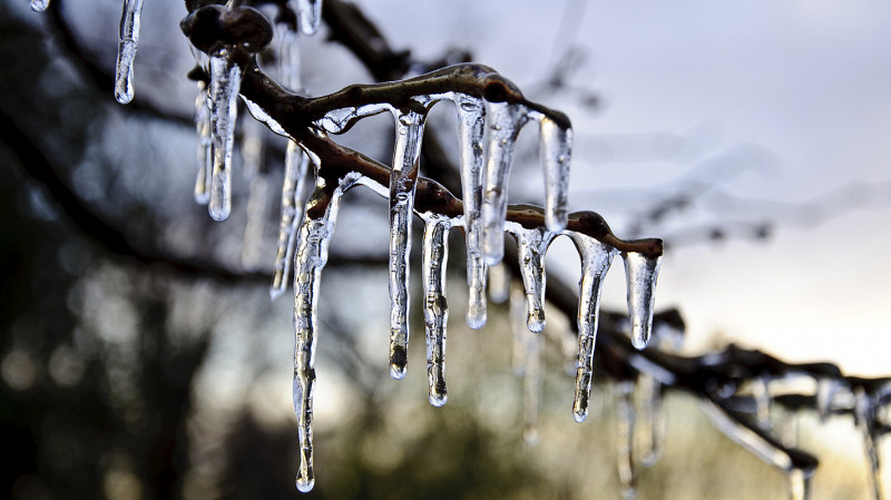 Свердловская область встречает оттепель