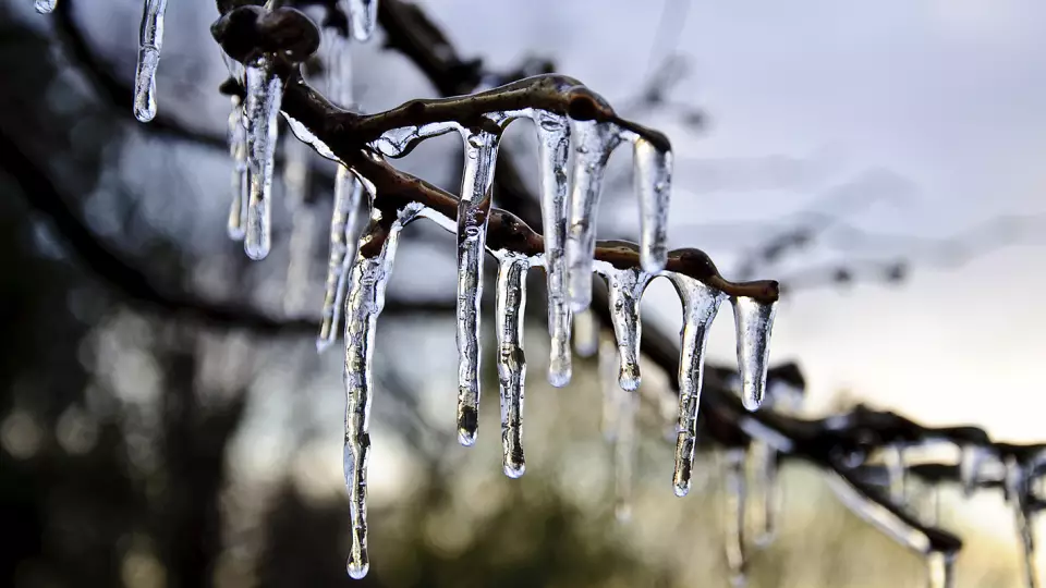 Свердловская область встречает оттепель