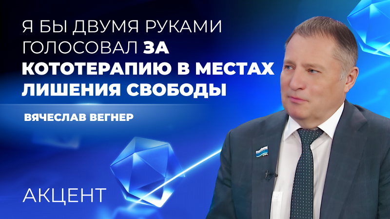 Свердловский депутат поддержал идею отправить бездомных кошек в колонии