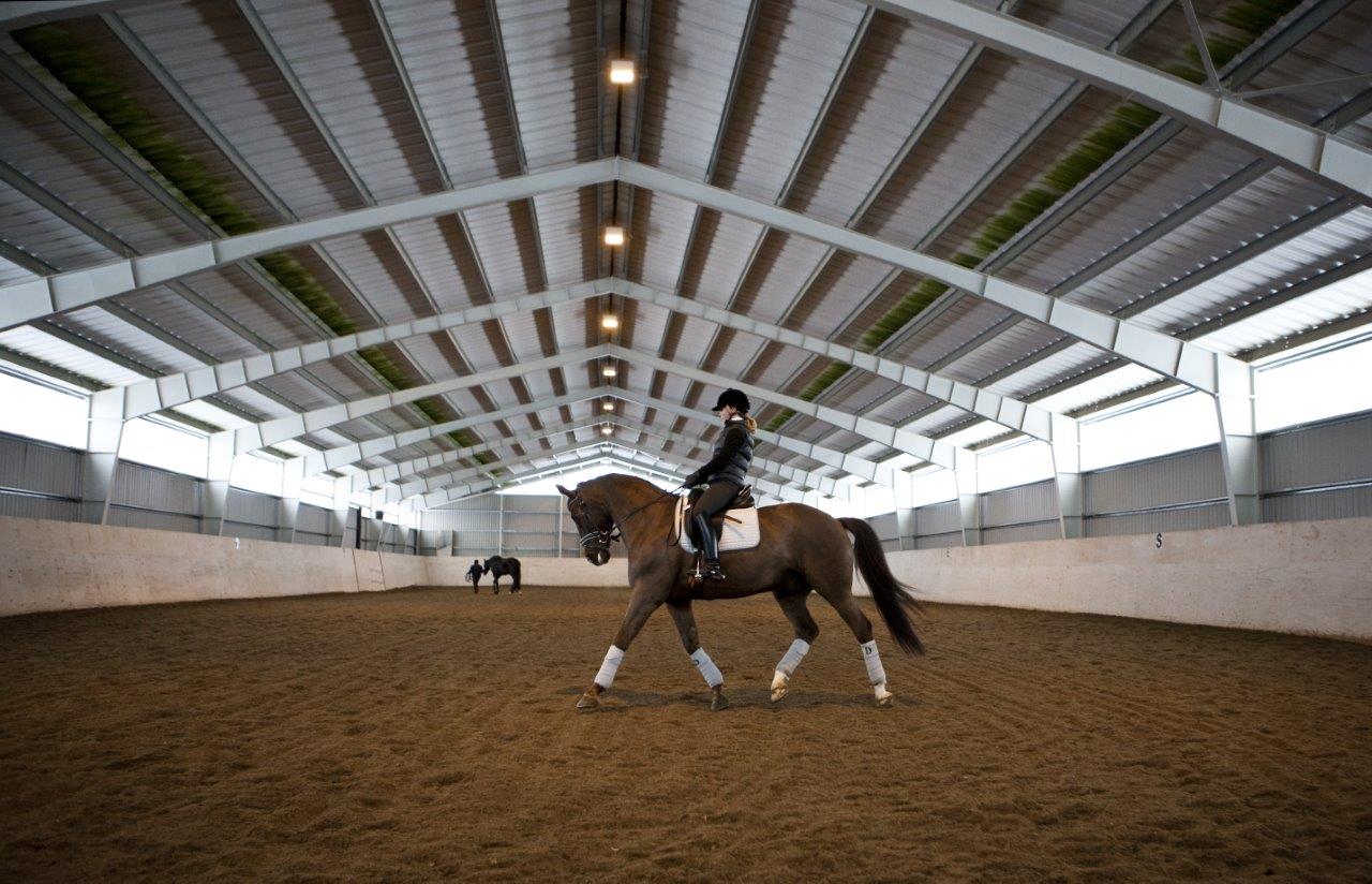 Жительница Екатеринбурга отсудила у конноспортивного клуба свою лошадь