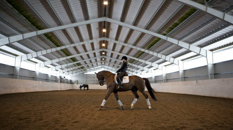 Жительница Екатеринбурга отсудила у конноспортивного клуба свою лошадь