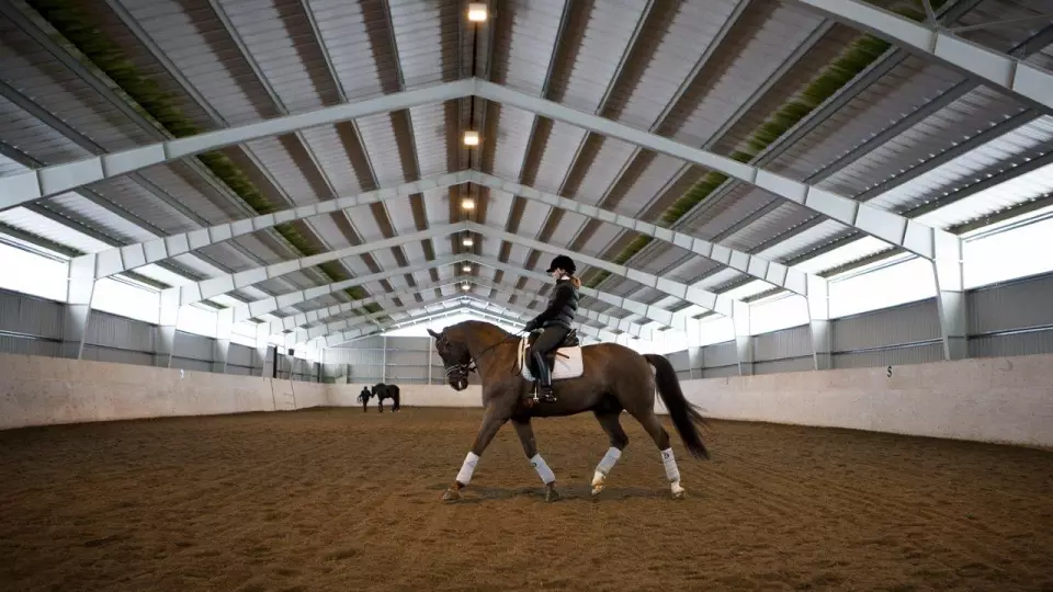 Жительница Екатеринбурга отсудила у конноспортивного клуба свою лошадь