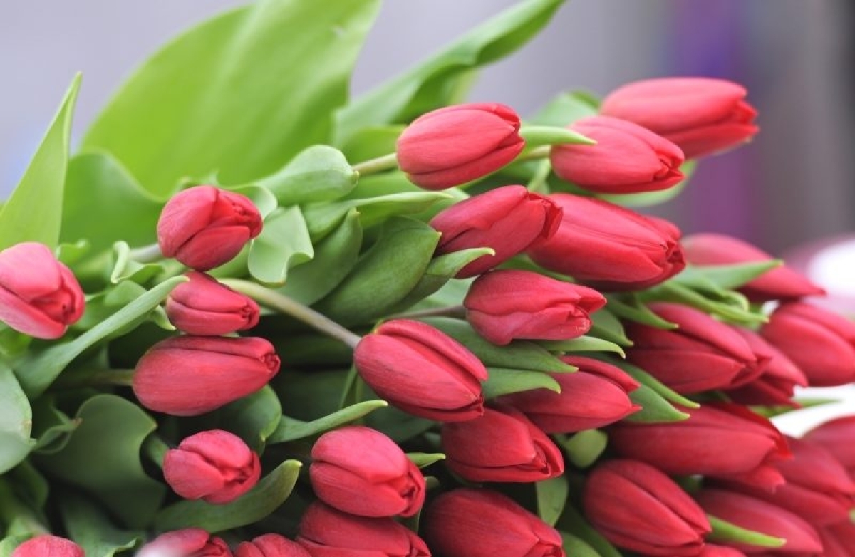 Что женщины хотят на 8 Марта?