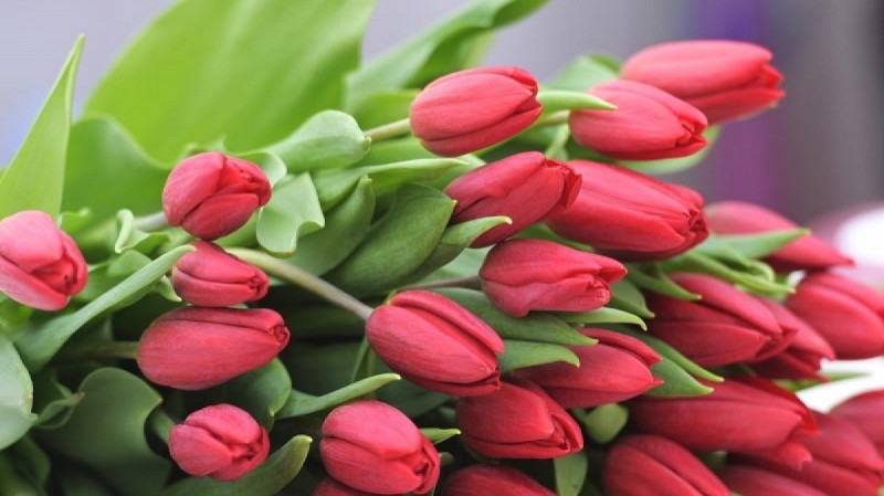 Что женщины хотят на 8 Марта?