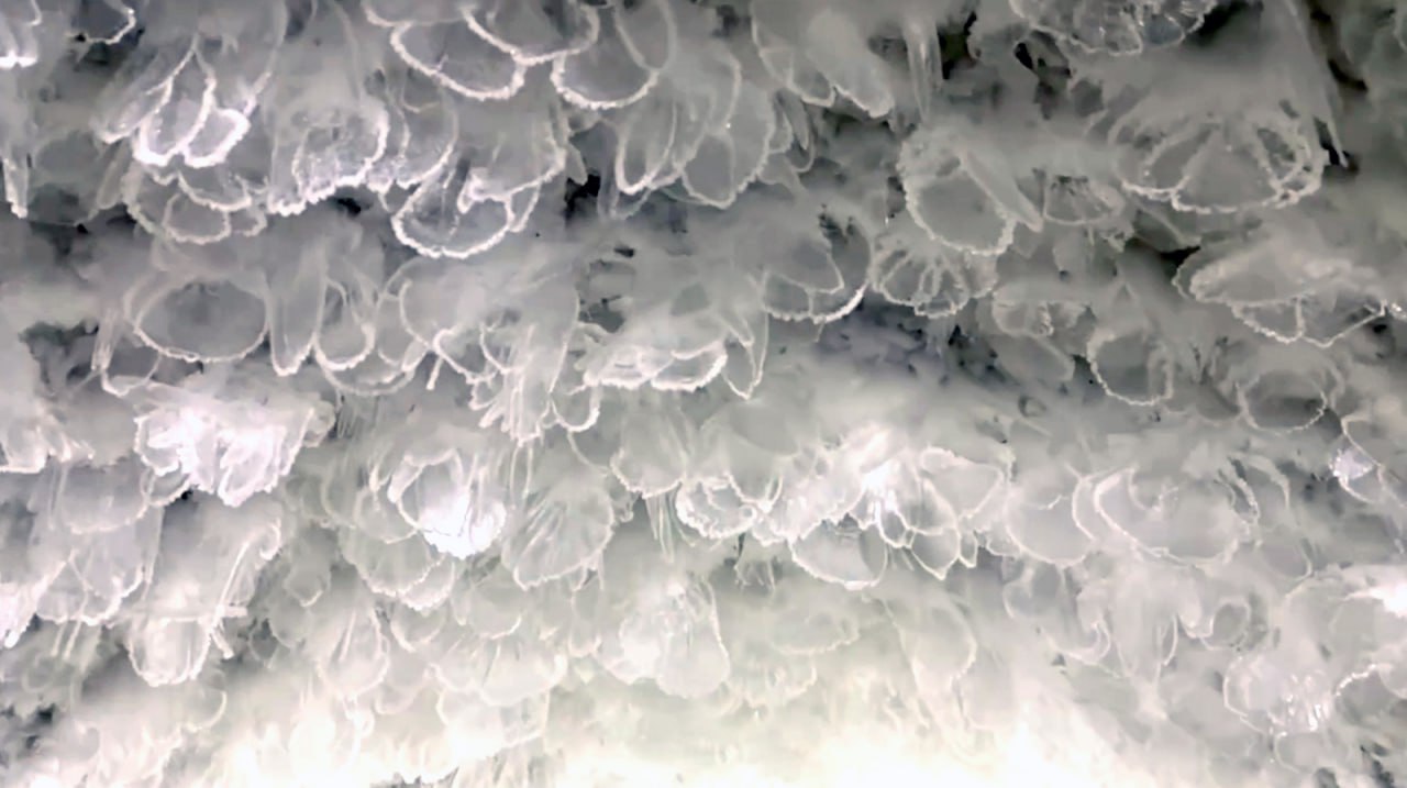 В Салехарде мерзлотник превращают в уникальный туристический объект