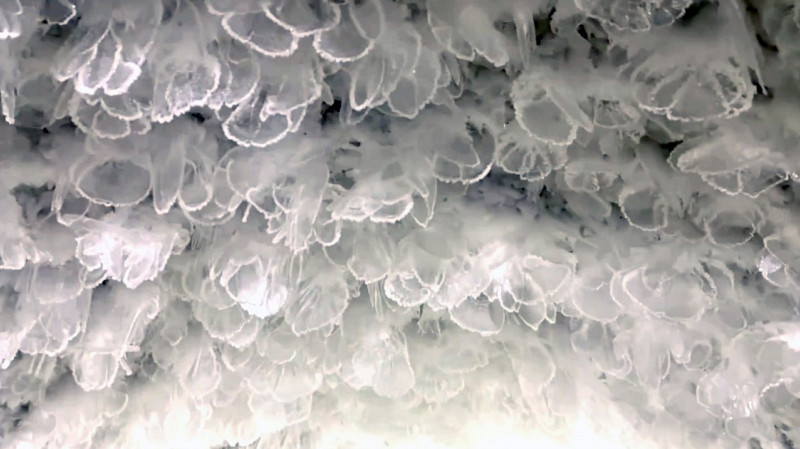 В Салехарде мерзлотник превращают в уникальный туристический объект