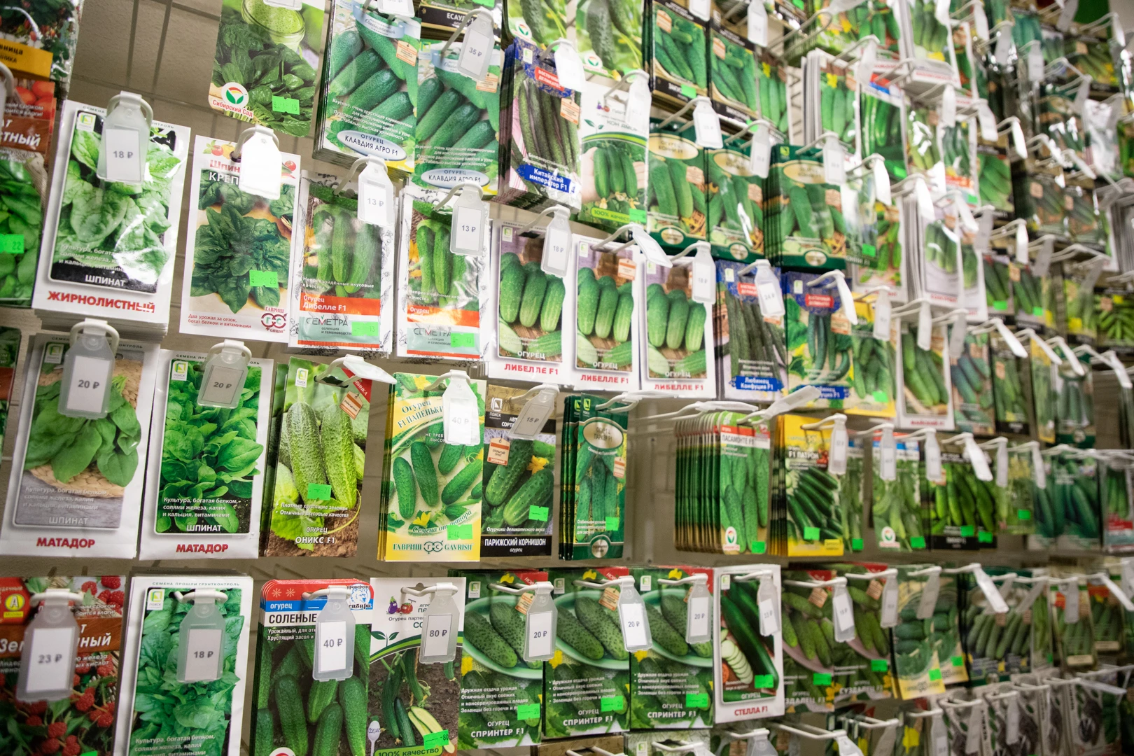 Россельхознадзор нашел нелегальные семена огурцов на маркетплейсе