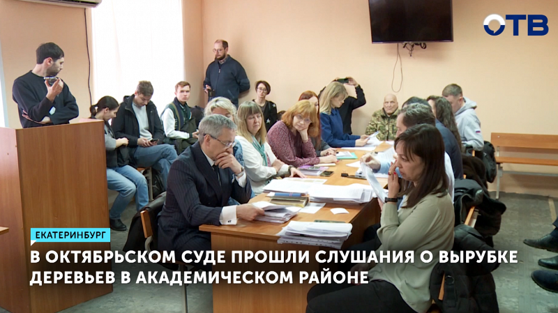 Суд Екатеринбурга отложил решение по Берёзовой роще