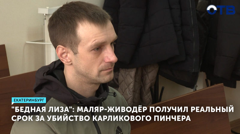 Маляр из Екатеринбурга осужден за смерть пинчера Лизы