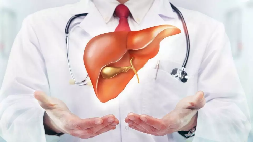 Новое лекарство от болезней печени разработали в Британии