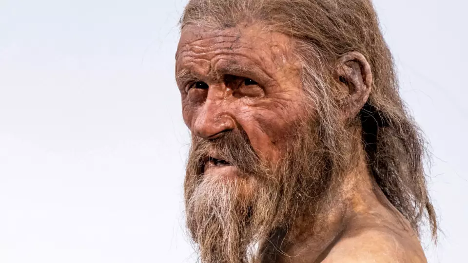 Археологи рассказали, что мумия Этци могла «отомстить» тем, кто ее нашел