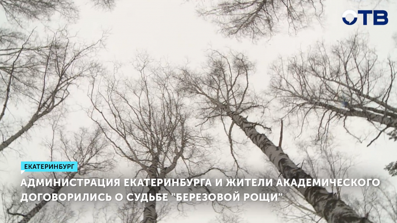 Берёзовая роща в Екатеринбурге станет охраняемой зоной