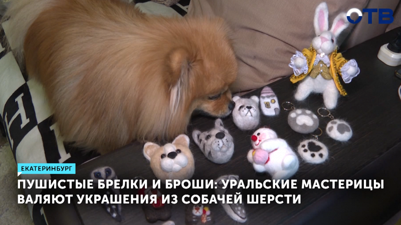 Как игрушки из собачьей шерсти помогают бездомным животным