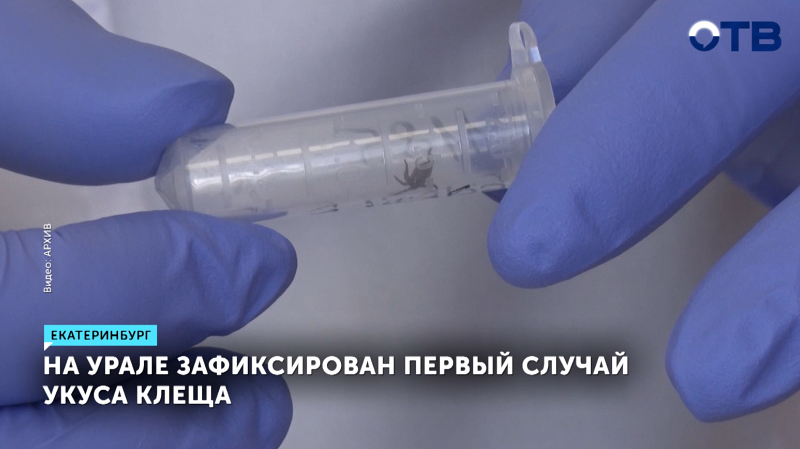 В Свердловской области начали просыпаться клещи