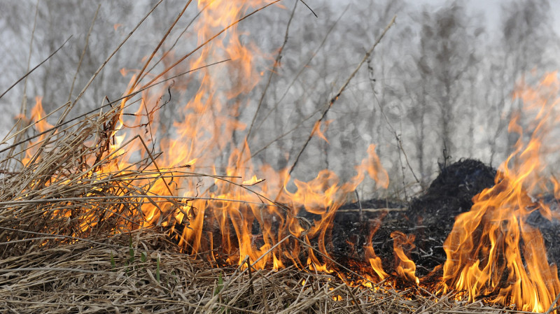 Пожароопасный сезон в Свердловской области начнется 2 апреля