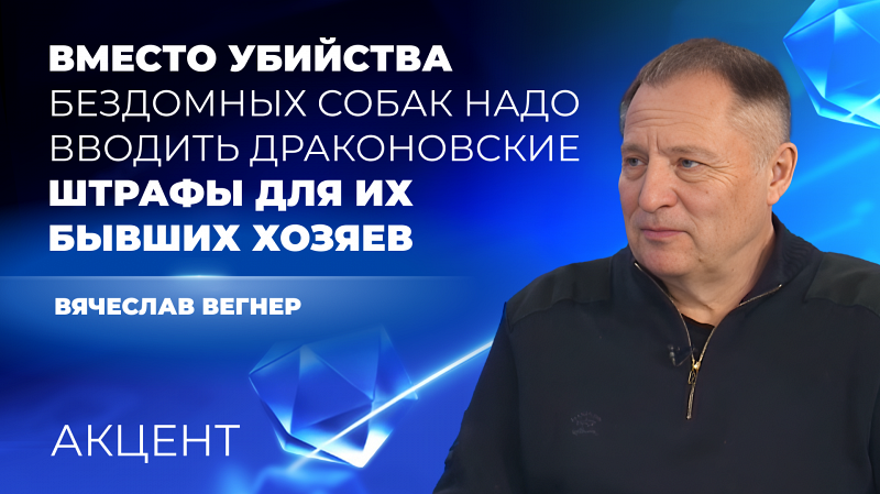 Вячеслав Вегнер: «Вместо убийства бездомных собак надо вводить драконовские штрафы для их бывших хозяев»
