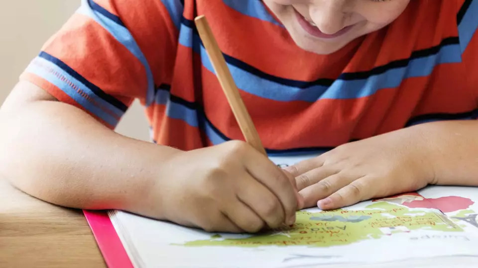 Школьникам в РФ сократили количество контрольных и домашних заданий