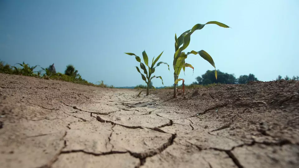 Климатологи предупредили о «петлях смерти», угрожающих экосистемам