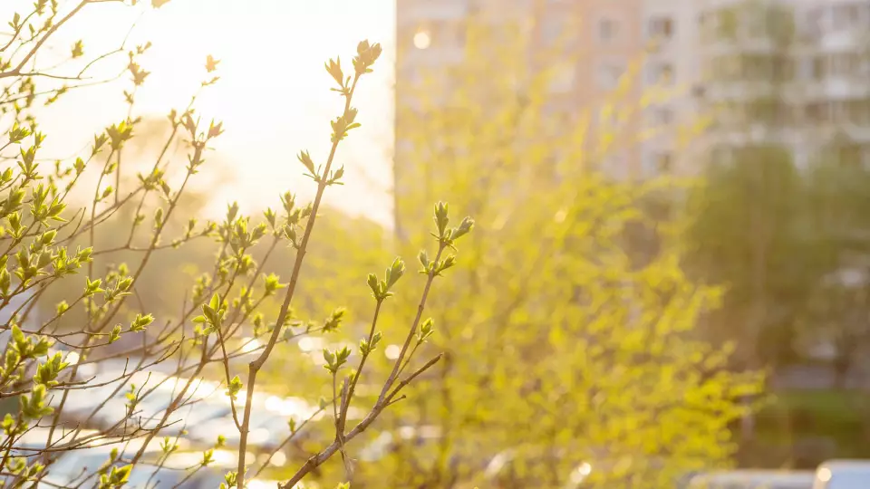 Свердловскую область ждет потепление до +15°C