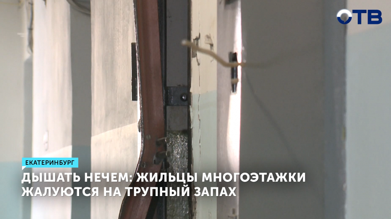 Трупный запах пропитал подъезд многоэтажки на Эльмаше в Екатеринбурге
