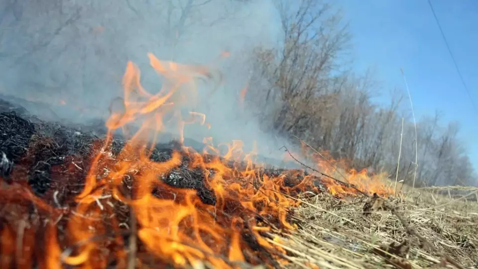 Пожароопасный сезон объявлен в Свердловской области
