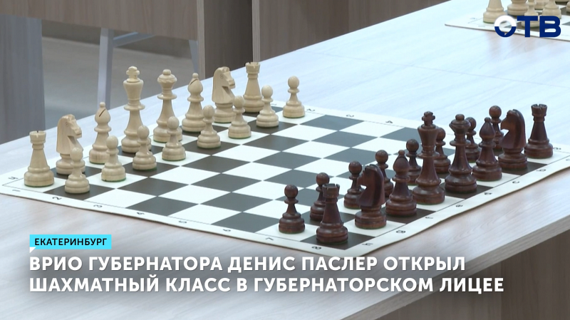 Будущих гроссмейстеров начнут готовить в Губернаторском лицее Екатеринбурга