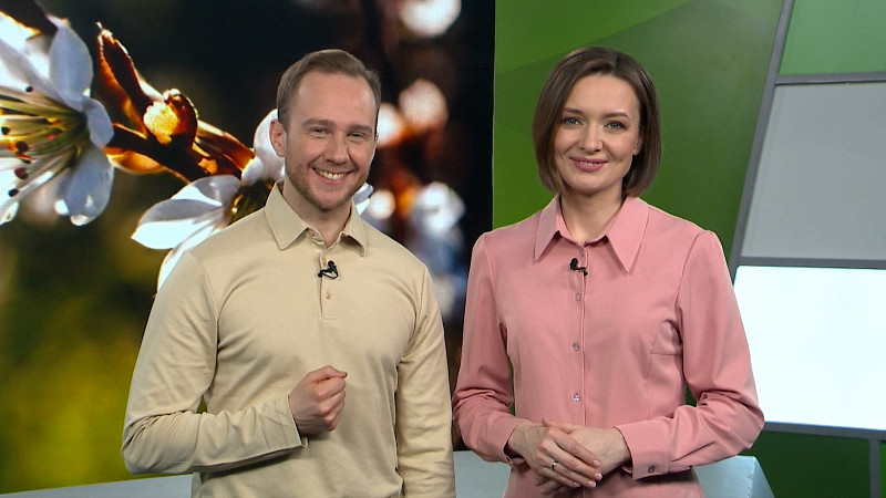 Выпуск «Свердловского утра» от 08.04.2025