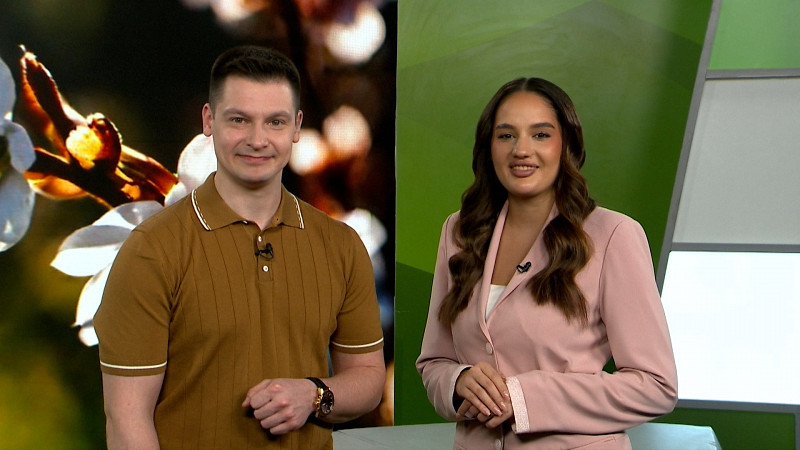 Выпуск «Свердловского утра» от 10.04.2025