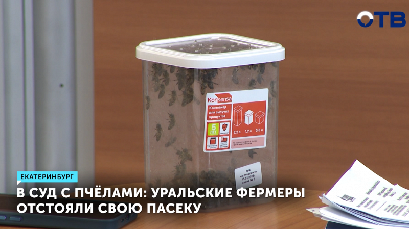 Суд в Екатеринбурге отказал «Газпрому» в иске к пасечникам