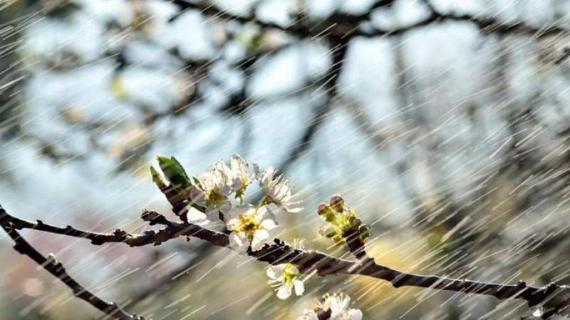 Эксперт подсказала, как адаптироваться к весенним перепадам погоды