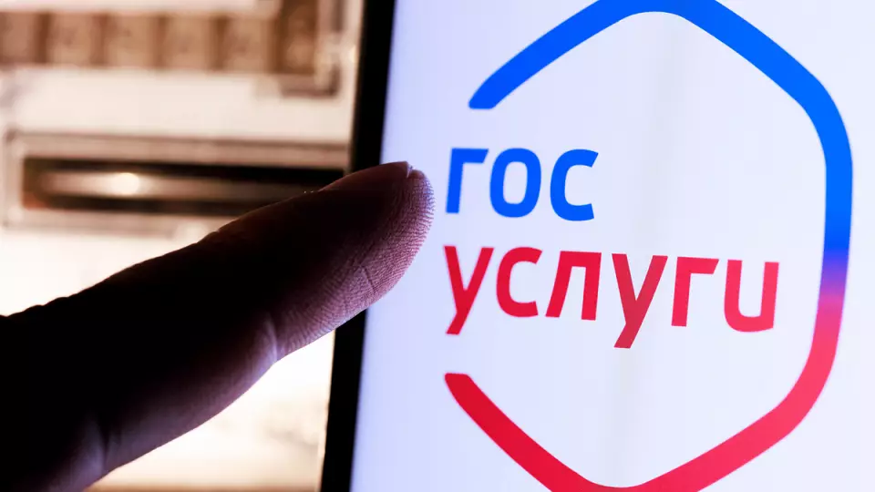 Эксперт рассказал, какие данные крадут мошенники с «Госуслуг»
