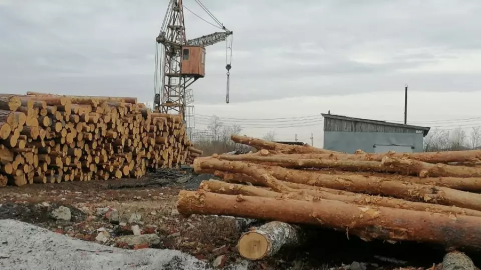 Минприроды Свердловской области усилило контроль за лесопилками