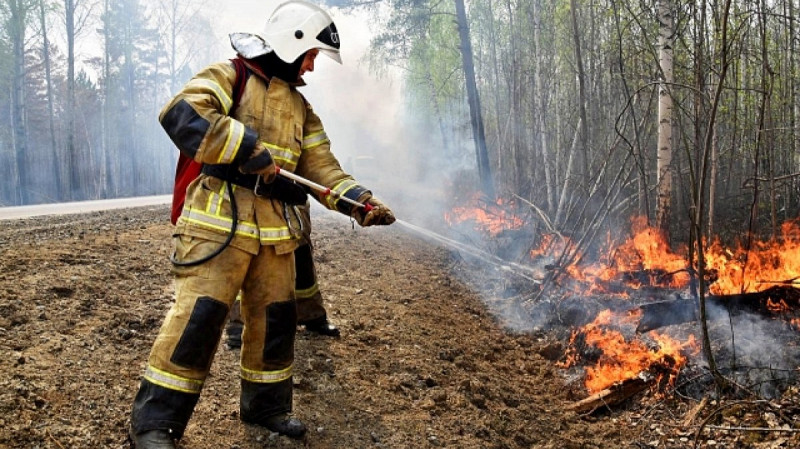 Прокуратура требует ликвидировать 38 свалок в Свердловской области