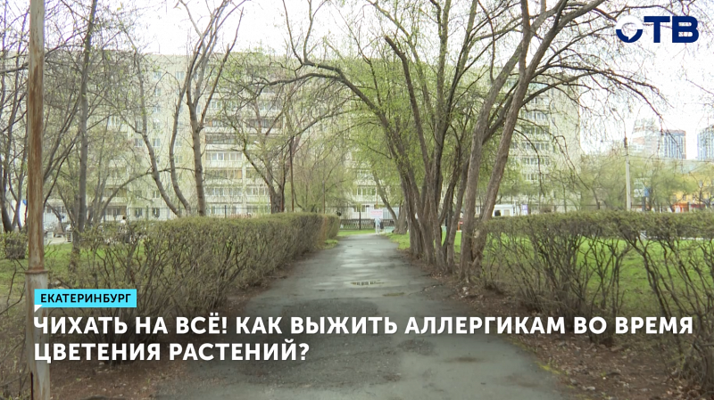 Как выжить аллергикам во время цветения растений?