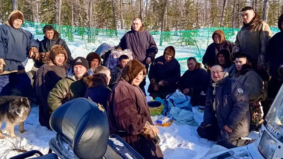 На Ямале ветеринары привили свыше 200 тысяч оленей