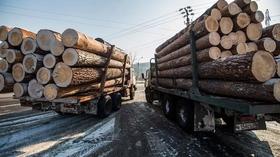 Экспортёр уральского леса оштрафован за занижение объёма древесины