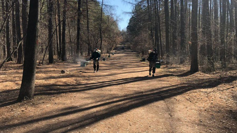 В мае от клещей обработают более 600 гектаров свердловского леса