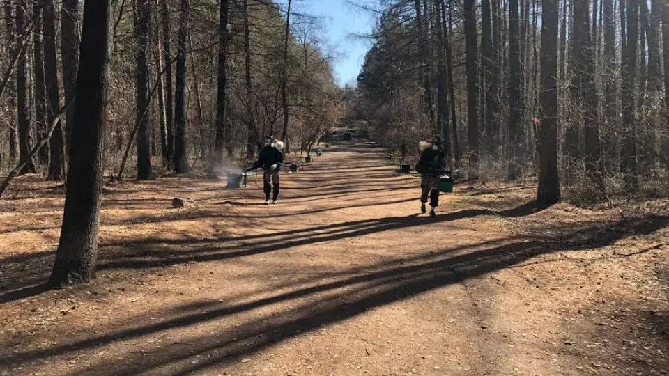 В мае от клещей обработают более 600 гектаров свердловского леса