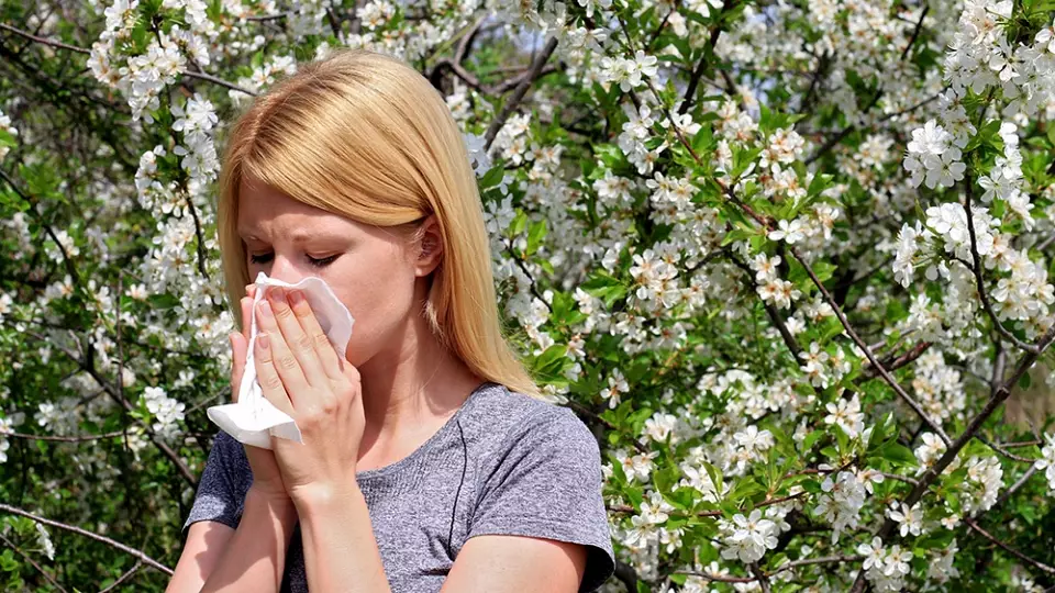 В Госдуме предложили бесплатно вакцинировать людей с аллергией на пыльцу