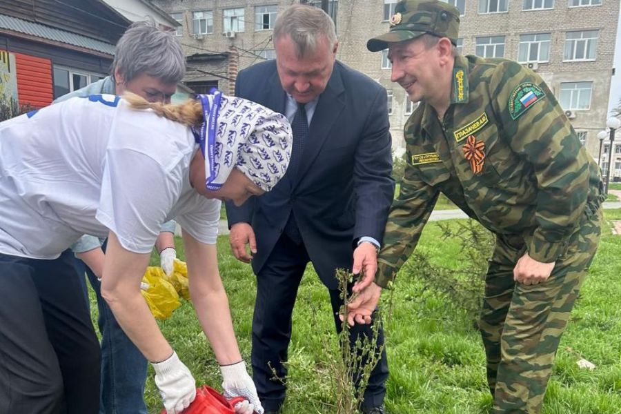 В Свердловской области посадят 215 тысяч деревьев