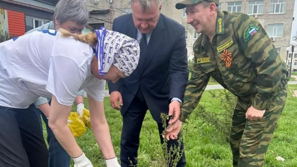 В Свердловской области посадят 215 тысяч деревьев