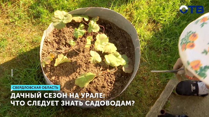 Уральские садоводы открыли дачный сезон