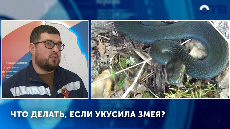 На Урале активизировались змеи