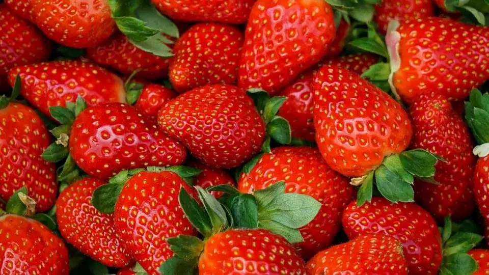 170 тонн импортной клубники привезли на Урал