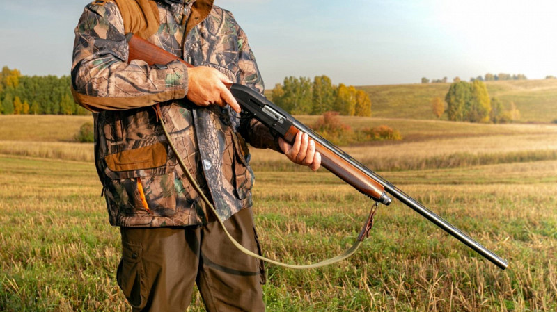 В Югре можно будет охотиться на лосей, рысей и медведей